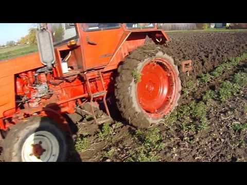 Видео: Осенняя вспашка огорода с трактором т-25