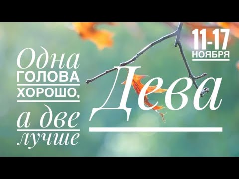 Видео: Дева ♍️ 11-17 ноября 2024 года ♍️☀️🍀✨🌈Таро Ленорман прогноз предсказания