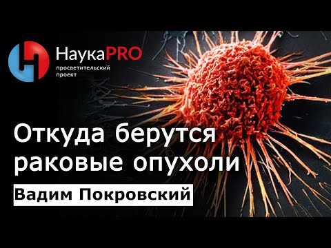 Видео: Откуда берутся раковые опухоли – Вадим Покровский | Онкология | Лекции по медицине | Научпоп