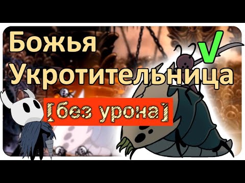 Видео: ◈ Hollow Knight: Божья Укротительница [ без урона ] ◈