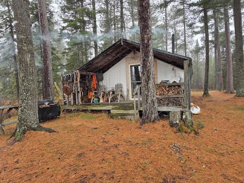 Видео: ФЕРМЕРСКИЙ ДОМ. Перед оленьим лагерем. Домашние дела. Большие деньги за камеру слежения. Свиньи в...