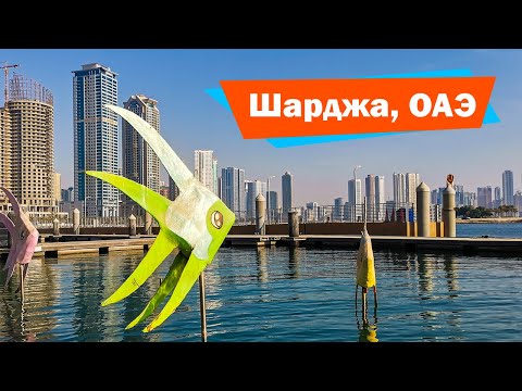 Видео: ОАЭ, Шарджа. Отдых в ШАРДЖЕ. Пляж АЛЬ ХАН. Морская прогулка по каналу АЛЬ-КАСБА
