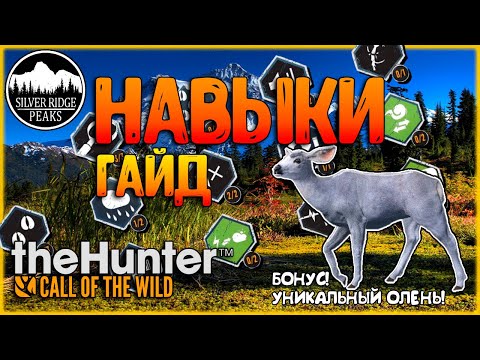 Видео: theHunter Call of the Wild📢НАВЫКИ📝ГАЙД ПО НАВЫКАМ❗ВЫЦВЕТШИЙ🦌