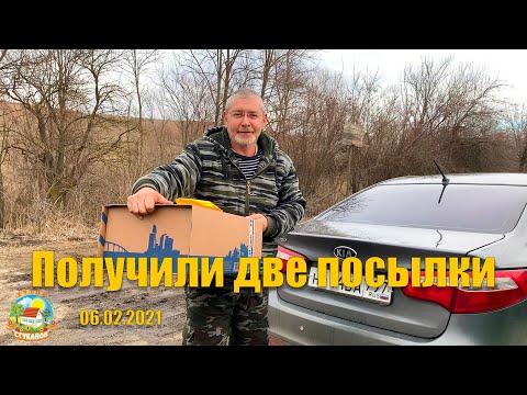 Видео: #124 Получили две посылки! Попробовали варенье из зелёных шишек. Петунии взошли.