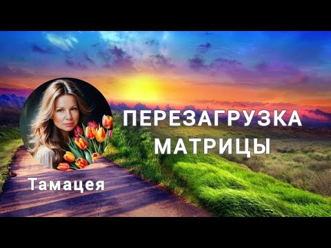 Видео: Как перезагрузить матрицу