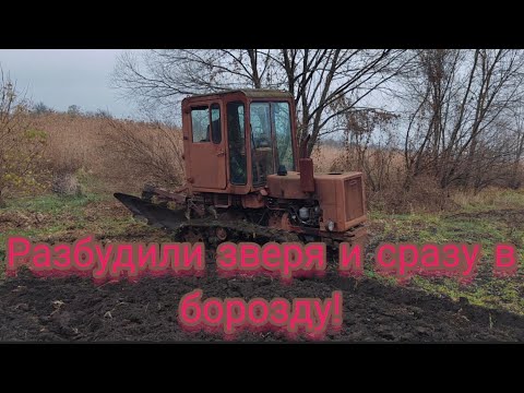 Видео: Запустили трактор Т-70 после двух лет простоя.