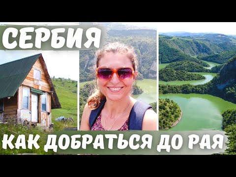 Видео: Как легко добраться до Каньона Реки Увац на общественном транспорте. Сербия. Часть 1