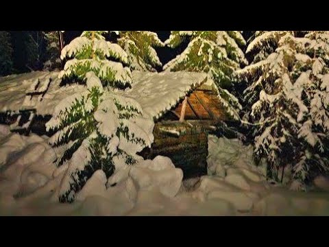 Видео: Один в тайге. Мощные поклёвки хариуса! За мной увязался ЗВЕРЬ!) Вечер в избе.