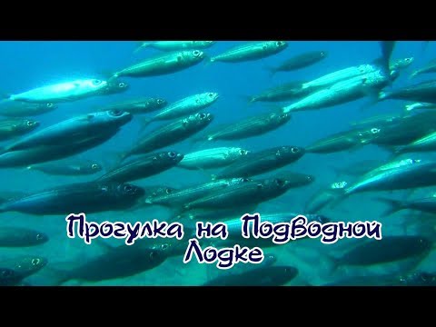 Видео: Прогулка на подводной лодке