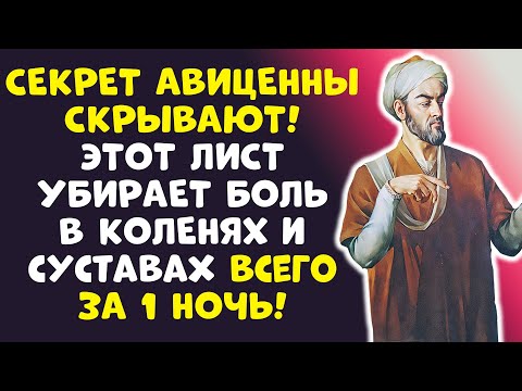 Видео: ПОЧЕМУ ВРАЧИ МОЛЧАТ? Копеечный метод Авиценны Лечит суставы...