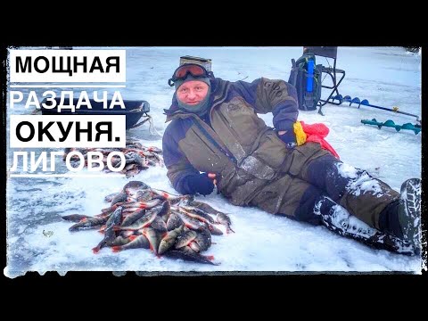 Видео: Ладога. Раздача окуня на балансир. Лигово 08.02.2020. Зимняя рыбалка. Ловля окуня