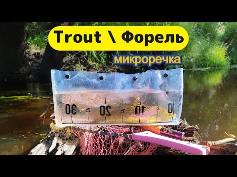 Видео: #рыбалка  | Микро речка | Ручьевая Форель |