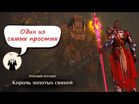 Видео: BDO Король золотых свиней: Гайд
