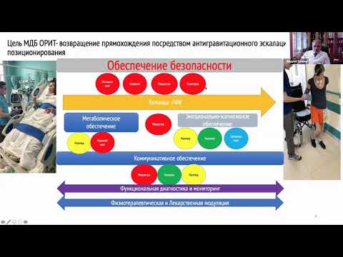 Видео: стоп сигналы 2020