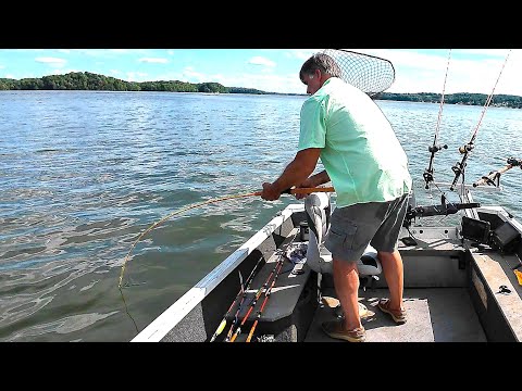 Видео: Идеальный шторм для ЭПИЧЕСКОГО УКУСА!