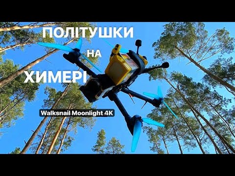 Видео: Політушки на Химері біля лісу