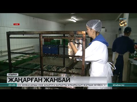 Видео: Атырау облысына қарасты Жанбай ауылында жаңа кәсіп көзі көбейді