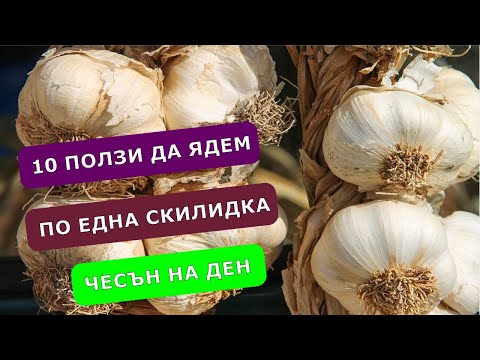 Видео: 10 ползи да ядем по една скилидка чесън на ден