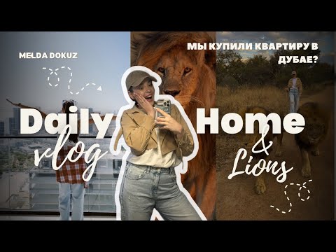 Видео: Купили квартиру в Дубае | делюсь новостями, прогулка со львами
