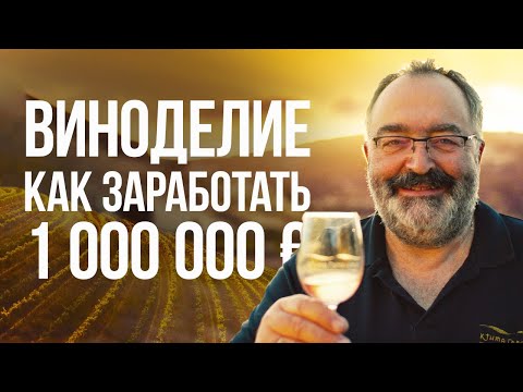 Видео: Виноделие как бизнес: От Винограда до Бутылки. Как делают вино и сколько стоит винодельня?