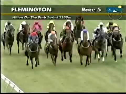 Видео: День ставок на скачках во Флемингтоне, суббота, 10 ноября 2001 г.