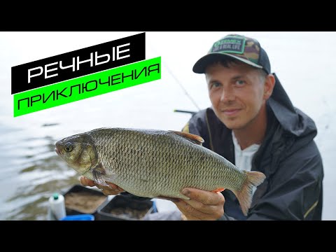 Видео: ФИДЕР НА РЕКЕ / ЛОВЛЯ ЛЕЩА / FROS FISHING