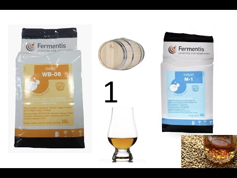 Видео: Какие дрожжи лучше для виски 1-1? WB-06 и M-1. Нудное начало. Обкатка нового ПВК.