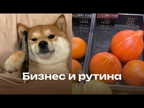 Видео: Бизнес VLOG: 4 совета для предпринимателей | Живу одна | Осенняя рутина и здоровье