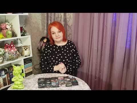 Видео: У НЕГО СЕГОДНЯ СТРЕСС! ПОНЯЛ ОН, ЧТО ОН БАЛБЕС!