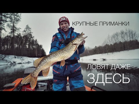 Видео: Эта приманка сделала рыбалку. Жор щуки на малой реке.