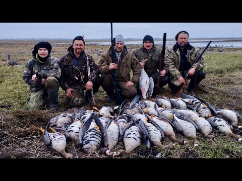 Видео: ЛУЧШАЯ ОХОТА НА ГУСЯ СЕЗОНА ВЕСНА 2024.