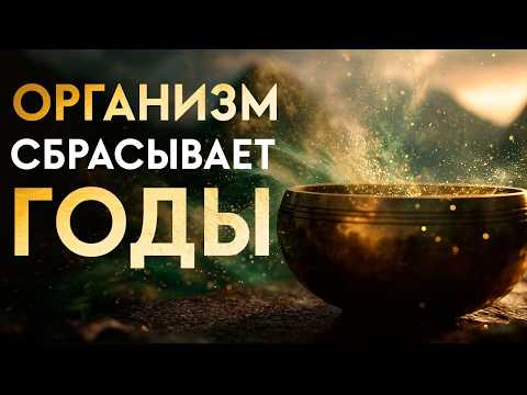 Видео: Просто СЛУШАЙТЕ! Чтобы Получить Самое Мощное ОМОЛОЖЕНИЕ | Оздоровление Организма | Исцеление Звуком