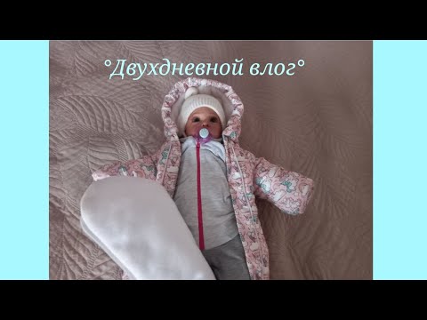 Видео: Двухдневной влог.Влог с реборном Евой. Влог с реборном. Vlog with reborn Eva.Vlog with reborn