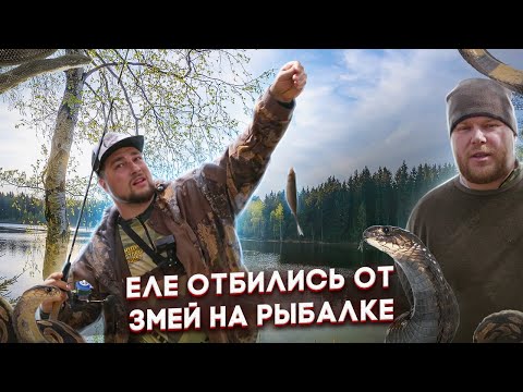 Видео: ОТПРАВИЛИСЬ В ПОХОД ПО ДИКИМ МЕСТАМ. ЕЛЕ ОТБИЛИСЬ ОТ ЗМЕЙ. РЫБАЛКА В ТАДЖИКИСТАНЕ