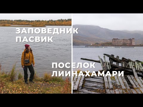 Видео: Мурманская область: заповедник Пасвик, поселок Лиинахамари
