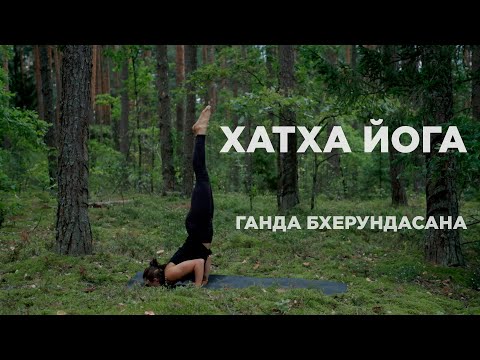 Видео: ХАТХА ЙОГА. Стойка на подбородке. Гандха Бхерундасана (Поза грозной птицы). Средний уровень. 47 мин