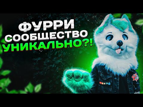 Видео: ЧЕМ УНИКАЛЬНЫ ФУРРИ?