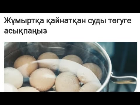 Видео: ЖҰМЫРТҚА ҚАЙНАҒАН СУДЫҢ - ҮЙ ГҮЛДЕРІНЕ ӨТЕ ПАЙДАЛЫ👆