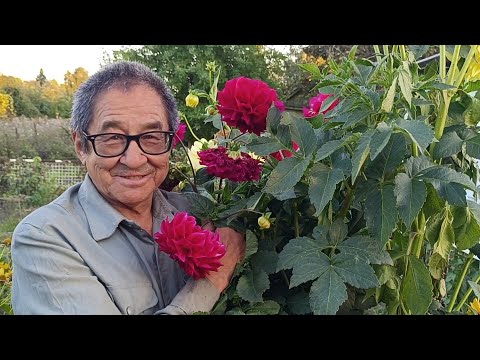 Видео: Дачная жизнь. В гостях у Куандыка. Өскемен. Усть-Каменогорск. 26.08.2025.