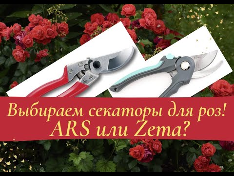 Видео: Выбираем секаторы для роз! ARS или Zema?