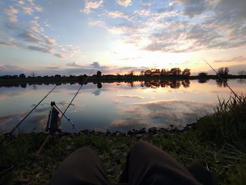 Видео: Фидерная рыбалка в районе Venlo Нидерланды май 2025
