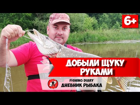 Видео: Рыбалка в Подмосковье 2020. Река Осетр. Щука и судак на спиннинг с лодки в июле.