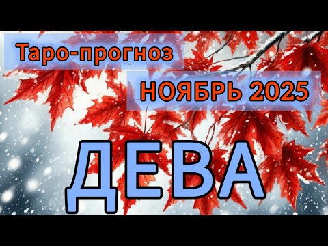 Видео: ДЕВА ♍️ ТАРО-ПРОГНОЗ НА НОЯБРЬ 2025