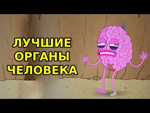 Видео: ТИР ЛИСТ ОРГАНОВ ЧЕЛОВЕКА