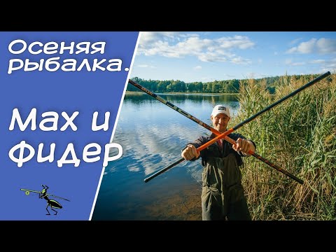 Видео: Осенняя рыбалка. Темповая ловля на фидер и мах