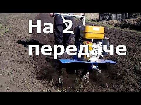 Видео: На 2й передаче   культивация Нева мб 23