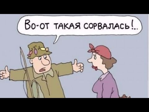 Видео: Ни хвоста, ни чешуи...