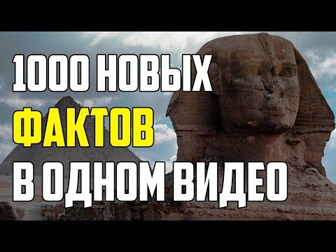 Видео: 1000 НОВЫХ ФАКТОВ В ОДНОМ ВИДЕО