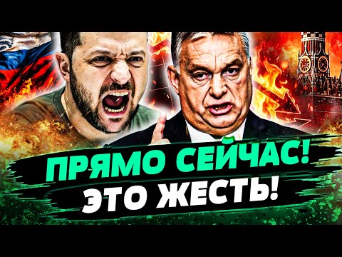 Видео: 💥ПРЯМО СЕЙЧАС! МЕГАУДАР ЗЕЛЕНСКОГО! ВЕНГРИЯ - ЭТО КОНЕЦ! СРОЧНОЕ ЗАЯВЛЕНИЕ ТРАМПА! — Несходовский
