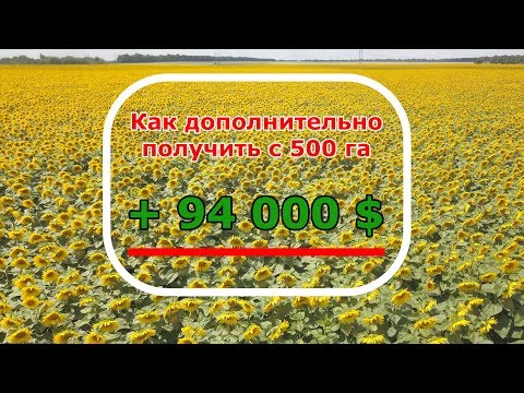 Видео: Сплошной посев подсолнечника от А до Я посевным комплексом ПАРТНЕР!